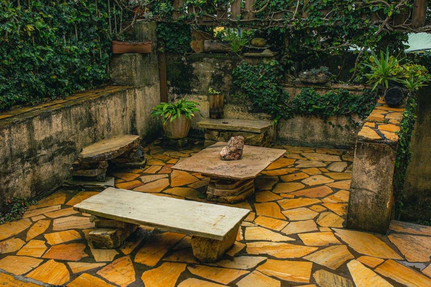 Terrasse en pierre avant démoussage